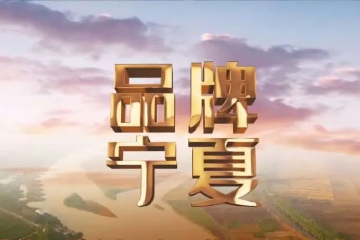 來自寧夏衛視《品牌寧夏》欄目對PA集團中國的報道