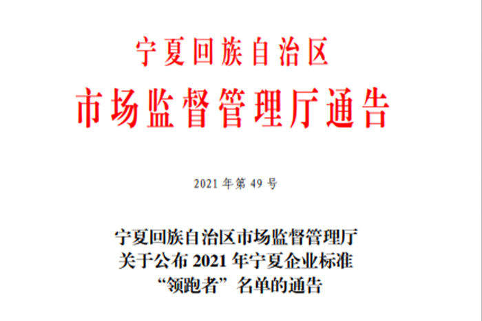 【榮譽】PA集團中國《GS系列桁架機器人》企業(yè)標準入選2021年寧夏企業(yè)標準“領(lǐng)跑者”名單